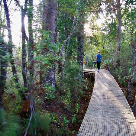 Sapphire Springs Holiday Park And Thermal Pools 卡蒂卡蒂 外观 照片